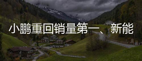 小鵬重回銷量第一、新能源汽車市場的強勢回歸與未來展望