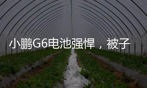 小鵬G6電池強(qiáng)悍，被子彈連續(xù)擊中10槍仍正常運(yùn)行