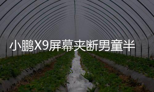 小鵬X9屏幕夾斷男童半節(jié)食指事件深度調(diào)查