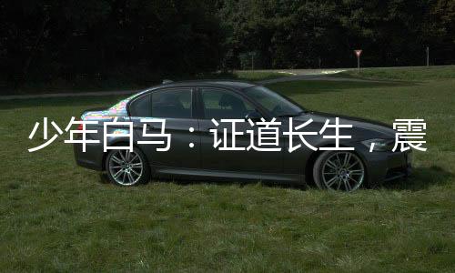少年白馬：證道長生，震驚北離！