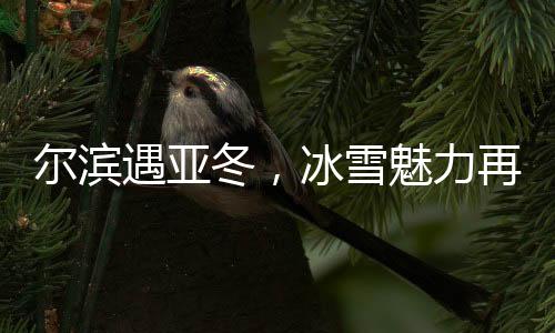 爾濱遇亞冬，冰雪魅力再升華