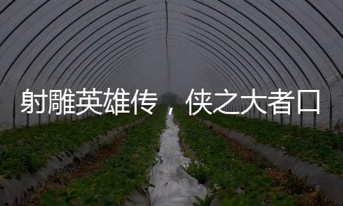 射雕英雄傳，俠之大者口碑解析