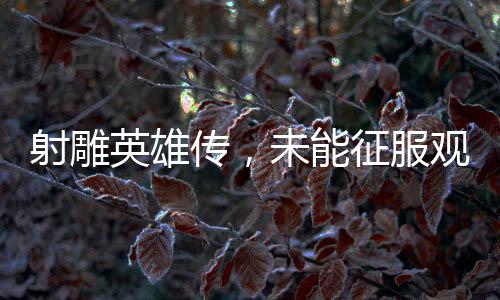 射雕英雄傳，未能征服觀眾之深度解析