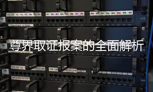 尊界取證報案的全面解析