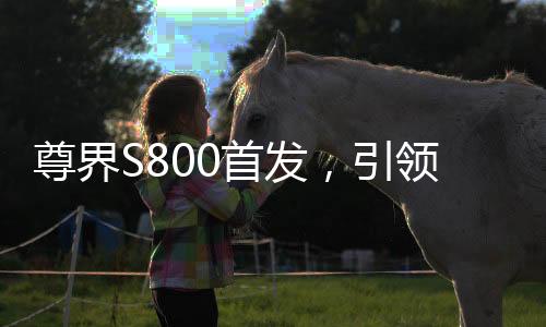 尊界S800首發(fā)，引領(lǐng)行業(yè)風(fēng)向的三大新技術(shù)揭秘