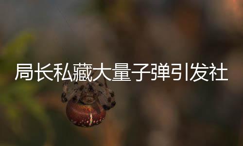 局長(zhǎng)私藏大量子彈引發(fā)社會(huì)關(guān)注