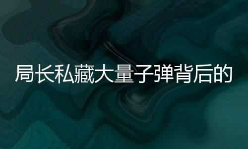 局長私藏大量子彈背后的隱秘，警示社會與個人責任的缺失（全文超過千五萬字）