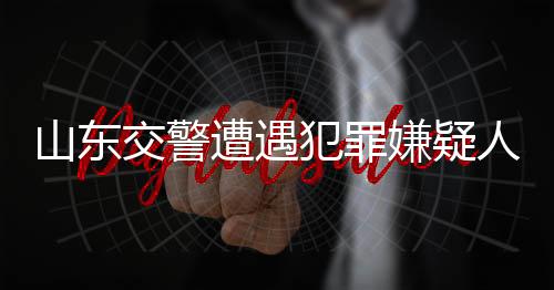 山東交警遭遇犯罪嫌疑人駕車沖撞英勇犧牲