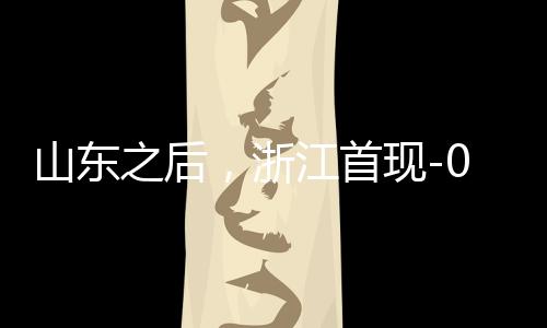 山東之后，浙江首現(xiàn)-0.2元負(fù)電價(jià)，電價(jià)創(chuàng)新低，引領(lǐng)能源轉(zhuǎn)型新篇章