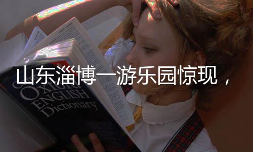 山東淄博一游樂(lè)園驚現(xiàn)，驢扮演斑馬，引發(fā)社會(huì)關(guān)注