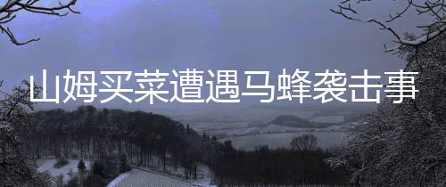 山姆買菜遭遇馬蜂襲擊事件