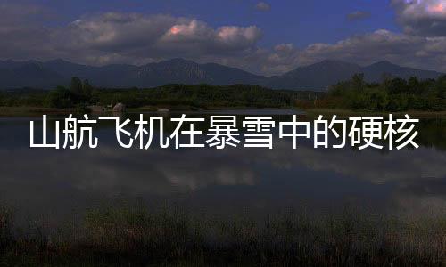 山航飛機(jī)在暴雪中的硬核起降，無(wú)畏天氣的英勇展現(xiàn)