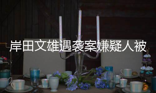 岸田文雄遇襲案嫌疑人被判刑，案件回顧與深度分析