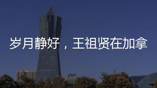 歲月靜好，王祖賢在加拿大開啟艾灸養(yǎng)生之旅