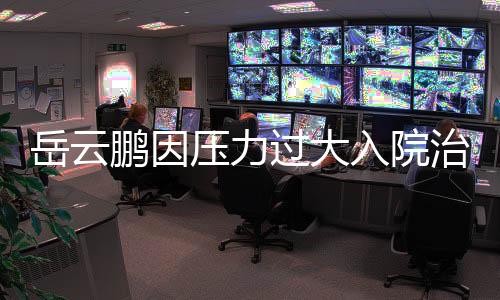岳云鵬因壓力過大入院治療，一線工作生活壓力引發(fā)關注