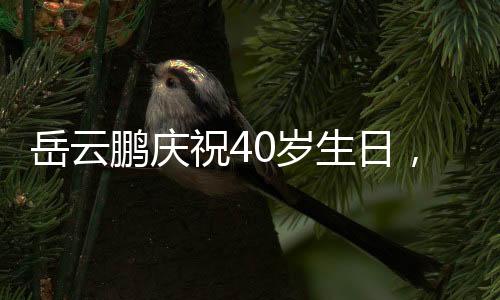 岳云鵬慶祝40歲生日，大女兒罕見露臉——溫馨家庭瞬間記錄