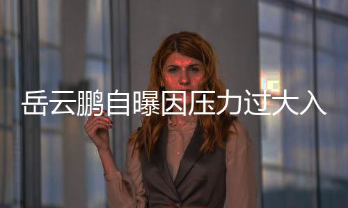 岳云鵬自曝因壓力過(guò)大入院治療，透露身心疲憊引發(fā)關(guān)注