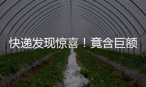 快遞發(fā)現(xiàn)驚喜！竟含巨額購物卡引警覺報案揭秘追蹤過程（附辦案細節(jié)）