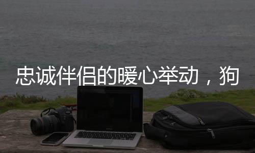 忠誠伴侶的暖心舉動，狗狗主動為小主人擔任腳墊子