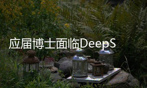 應(yīng)屆博士面臨DeepSeek面試挑戰(zhàn)，一場持續(xù)三小時(shí)的深度對(duì)話