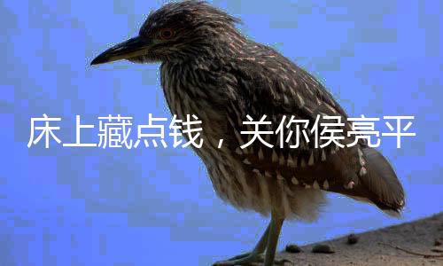 床上藏點錢，關(guān)你侯亮平什么事？