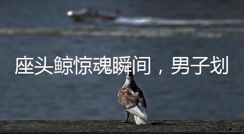 座頭鯨驚魂瞬間，男子劃船遭鯨口吞噬后奇跡生還
