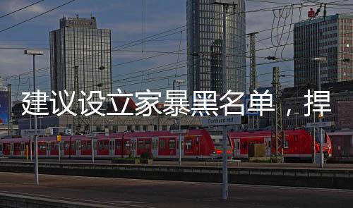 建議設立家暴黑名單，捍衛(wèi)家庭和諧，共建美好未來社會