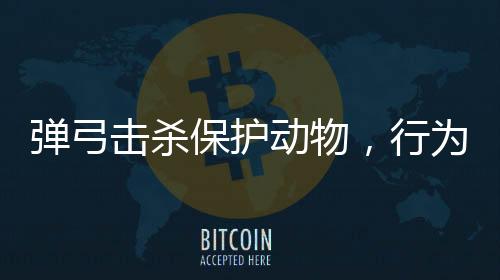 彈弓擊殺保護(hù)動(dòng)物，行為惡劣，法律嚴(yán)懲