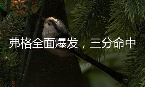 弗格全面爆發(fā)，三分命中艱難奪魁，獨(dú)得41分創(chuàng)賽場(chǎng)輝煌