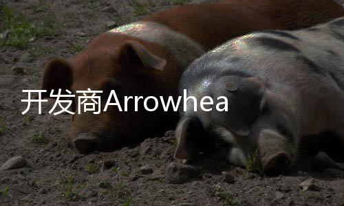開(kāi)發(fā)商Arrowhead透露《絕地潛兵2》被刪除的創(chuàng)意 包括5人小隊(duì)和低重力星球等