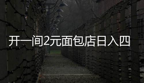 開一間2元面包店日入四千的成功秘訣揭秘，揭秘小型面包店背后的故事與成功之道