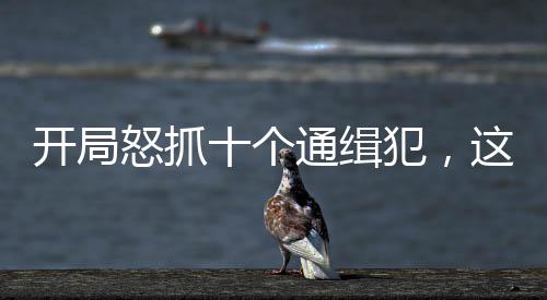 開局怒抓十個通緝犯，這是新警？