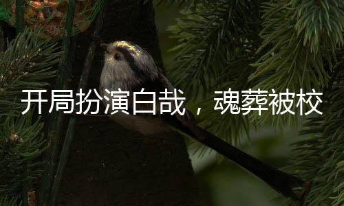 開局扮演白哉，魂葬被校花直播！