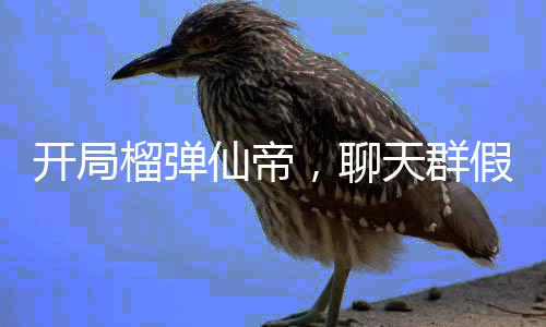 開局榴彈仙帝，聊天群假裝荒天帝