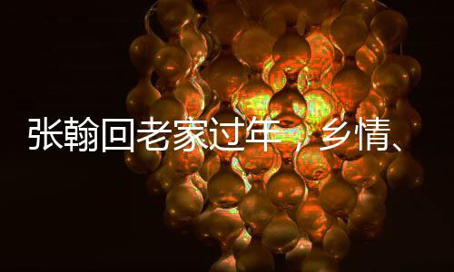 張翰回老家過(guò)年，鄉(xiāng)情、傳統(tǒng)與現(xiàn)代交融的溫馨瞬間