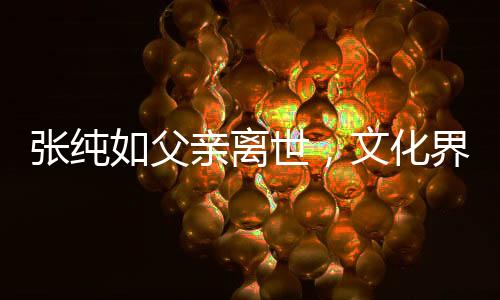 張純?nèi)绺赣H離世，文化界人士緬懷傳奇人物