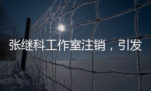 張繼科工作室注銷，引發(fā)關注熱議