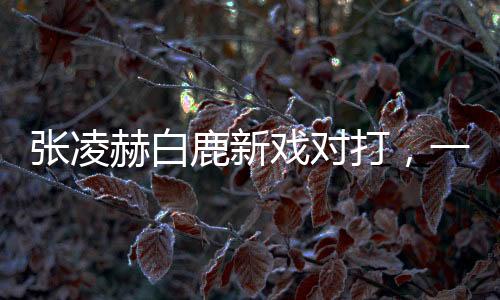 張凌赫白鹿新戲?qū)Υ?，一?chǎng)備受矚目的影視盛宴