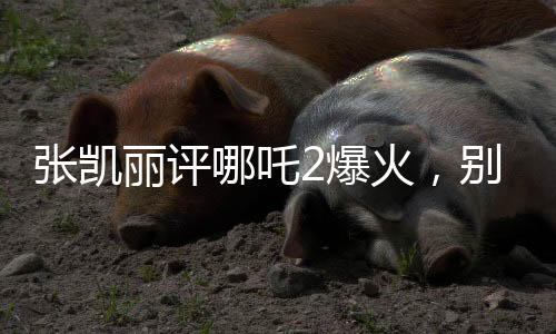 張凱麗評哪吒2爆火，別一哄而上