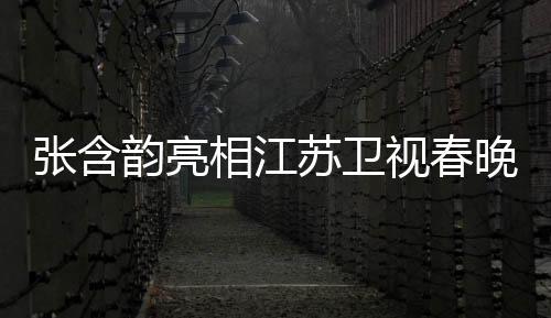 張含韻亮相江蘇衛(wèi)視春晚舞臺，璀璨演出燃爆全場