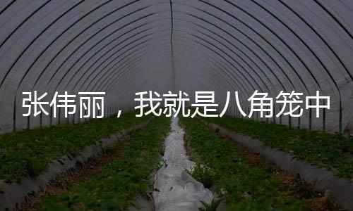 張偉麗，我就是八角籠中的哪吒