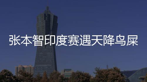 張本智印度賽遇天降鳥(niǎo)屎，意外瞬間挑戰(zhàn)比賽新高度