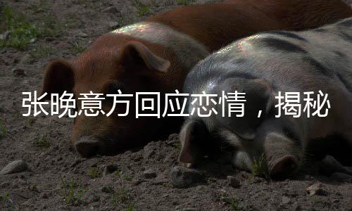 張晚意方回應(yīng)戀情，揭秘背后的故事