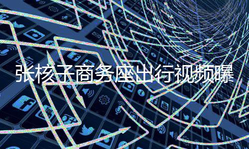 張核子商務(wù)座出行視頻曝光，公眾聚焦出行特權(quán)與公正議題