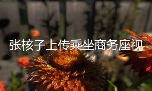 張核子上傳乘坐商務(wù)座視頻，公眾熱議與反思的焦點(diǎn)