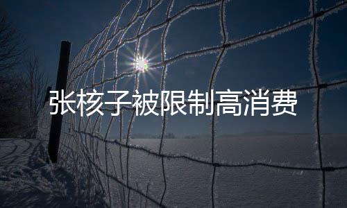 張核子被限制高消費