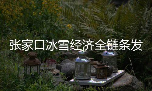 張家口冰雪經(jīng)濟(jì)全鏈條發(fā)展  冬奧場館利用成效顯著