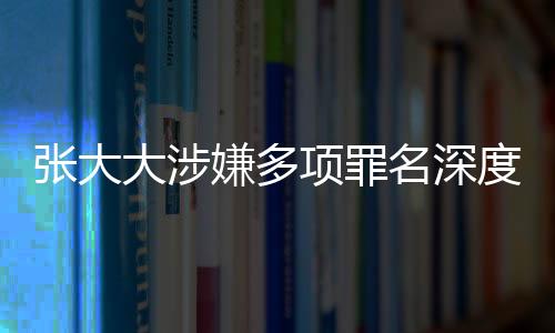 張大大涉嫌多項罪名深度調(diào)查