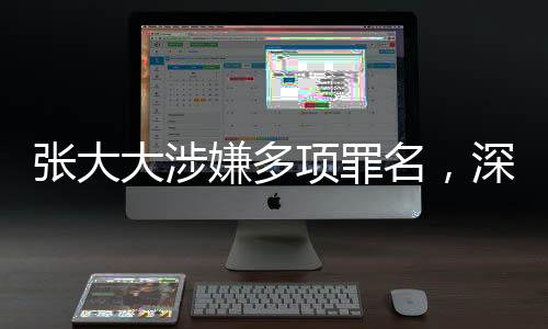 張大大涉嫌多項罪名，深入解析與探討