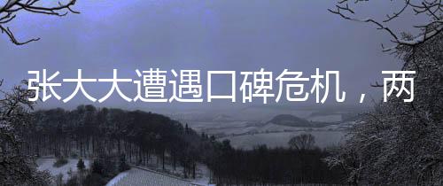 張大大遭遇口碑危機(jī)，兩年無(wú)固定工作挑戰(zhàn)重重